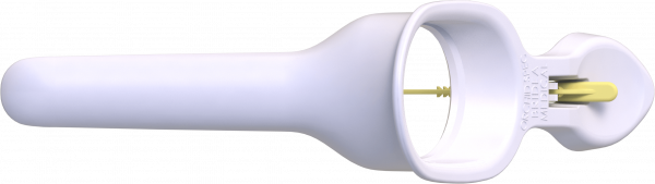 Orchid-Speculum-Virgo-white-top