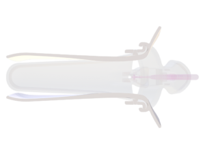 Orchid-Spec-The-Spoon-Medium-TopProfile-CrossSection-Transparent